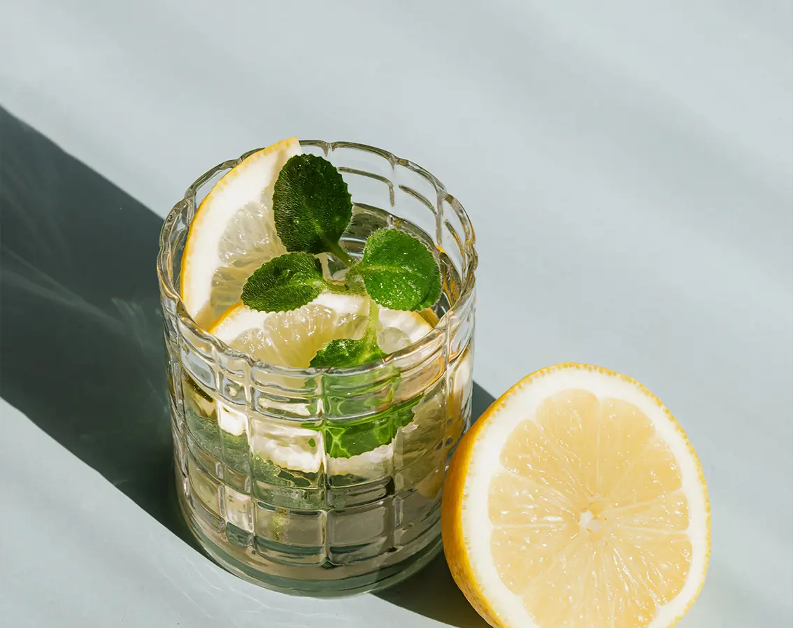 Vaso con hielo, limón y hierbabuena